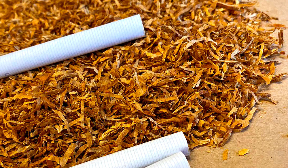Tabaco e o produto final, cigarro